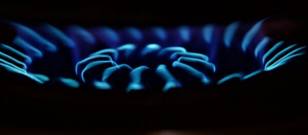 Газовая плита - Sputnik Moldova-România