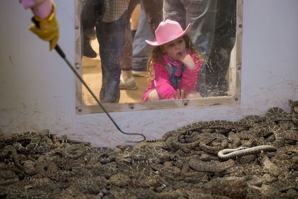 Девочка рассматривает гремучих змей в выставочном комплексе Нолан Колисеум в Техасе - Sputnik Молдова