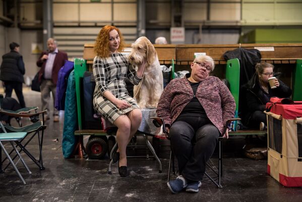 Хозяйка с собакой во время Crufts dog show в Бирмингеме, Великобритания - Sputnik Молдова