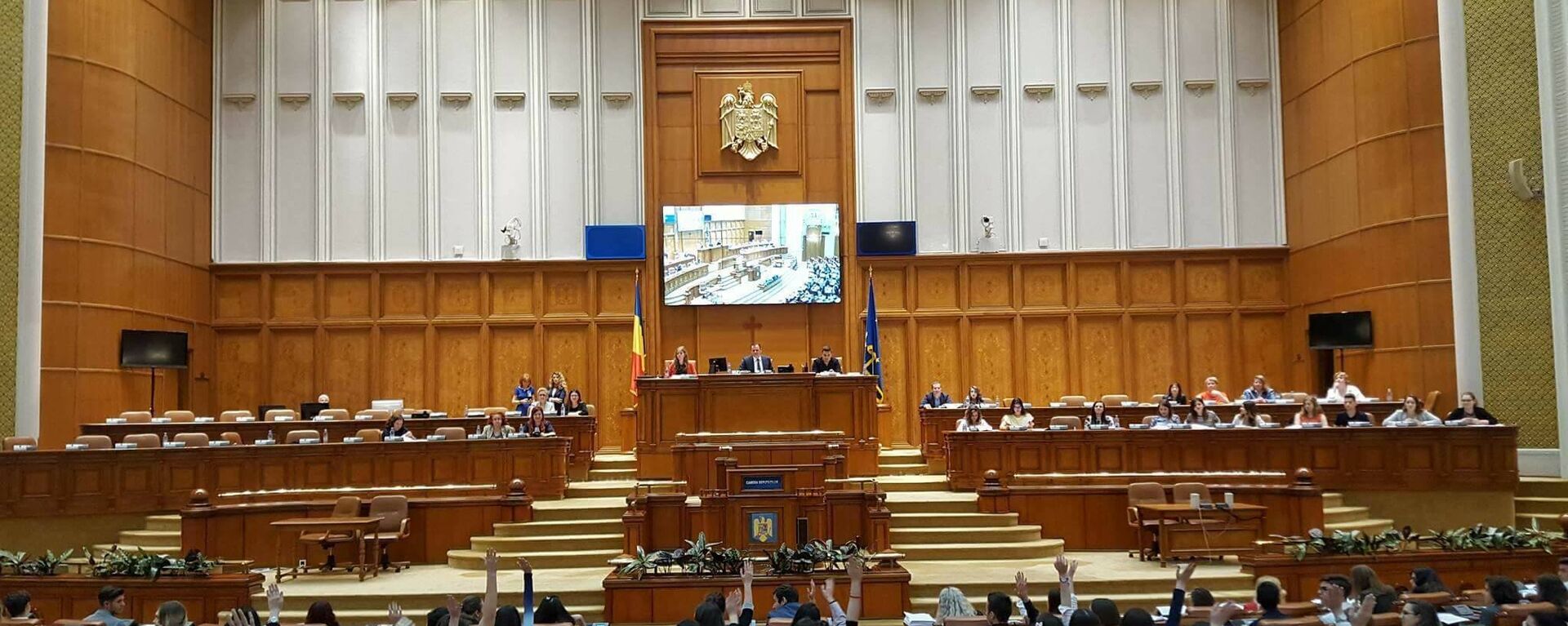 Vot în Parlamentul României - Sputnik Moldova-România, 1920, 29.08.2022