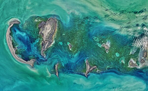 Снимок Тюленьих островов в Каспийском море, сделанный спутником Landsat 8 - Sputnik Молдова