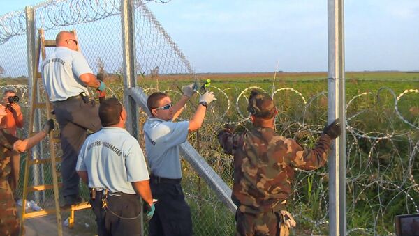Колючая проволока и забор: Венгрия перекрыла лазейку в Европу для беженцев - Sputnik Молдова
