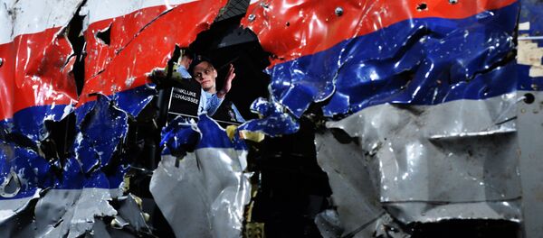 Cockpit der in der Ukraine abgestürzten Passagiermaschine MH17 Cockpit der in der Ukraine abgestürzten Passagiermaschine MH17 - Sputnik Moldova-România