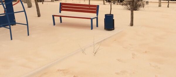 Необычный снег выпал на юге Молдовы Необычный снег выпал на юге Молдовы - Sputnik Молдова