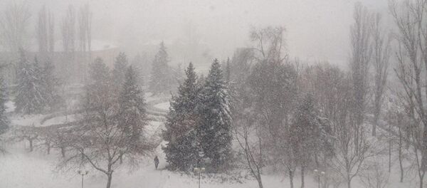 Ninsori în Moldova - Sputnik Moldova