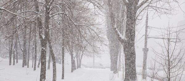 Снег Снег - Sputnik Молдова