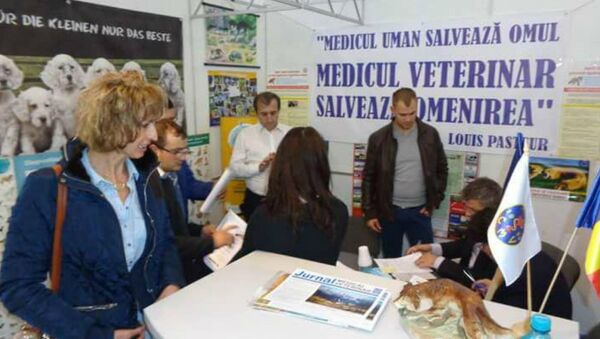 Veterinarii români, comunicare cu publicul - Sputnik Moldova-România