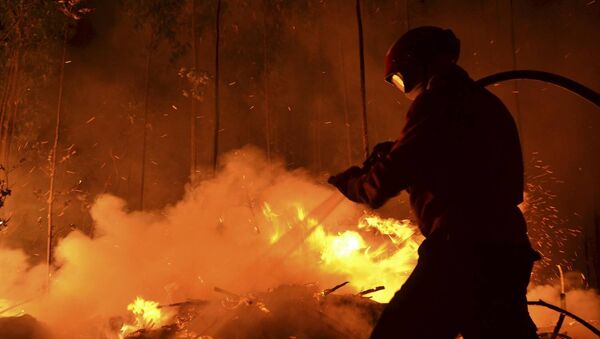 Пожар на кладбище в Кишиневе - Sputnik Молдова