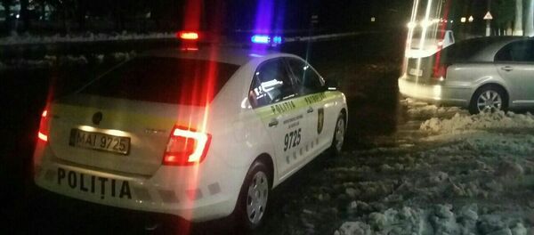 Inspectoratul Național de Patrulare  - Sputnik Moldova