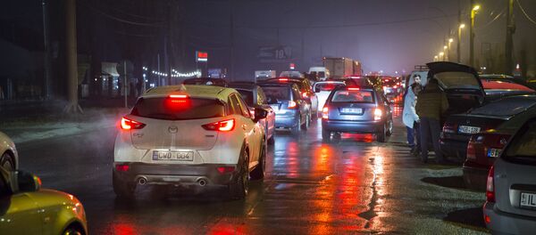 Цветы, 8 марта - Sputnik Moldova