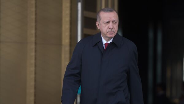 Recep Tayyip Erdogan - Sputnik Moldova