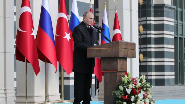 Визит президента РФ В. Путина в Турцию - Sputnik Moldova-România