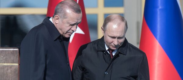 Визит президента РФ В. Путина в Турцию - Sputnik Молдова