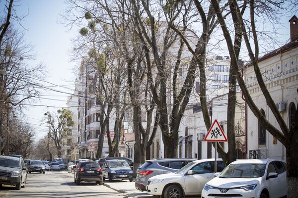 Кишинев, апрель, 2018 год. Улица Бернардацци - Sputnik Молдова