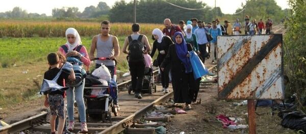 венгерская полиция задержала рекордное число мигрантов - Sputnik Молдова