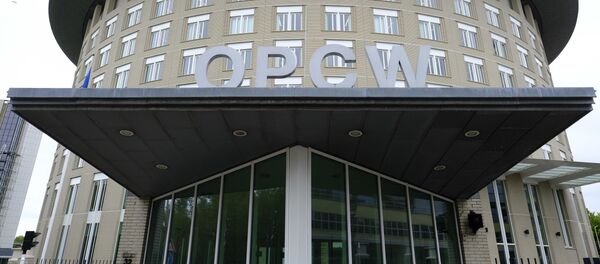 OPCW - Sputnik Moldova-România