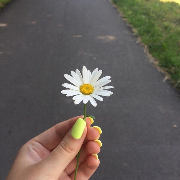 Выбор в твоих руках Выбор в твоих руках - Sputnik Молдова