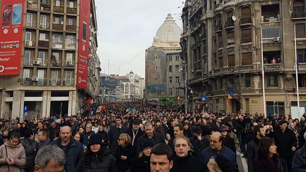 Manifestație de protest - Sputnik Moldova-România