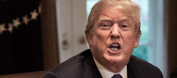 Donald Trump - Sputnik Moldova