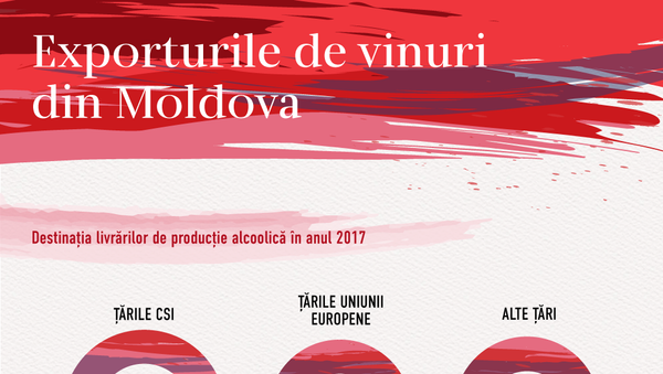 Exporturile de vinuri din Moldova - Sputnik Moldova