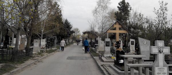 Cimitirul Sfântul Lazăr (Doina) - Sputnik Moldova