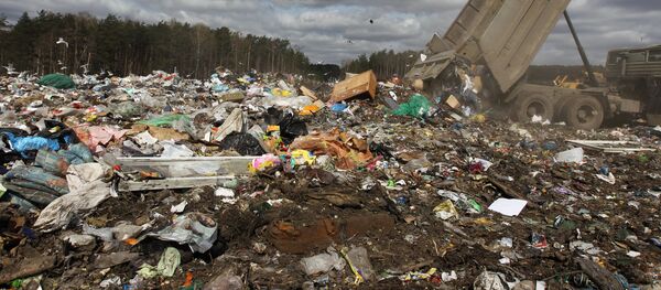 Полигон для утилизации бытовых отходов Ашитково Полигон для утилизации бытовых отходов Ашитково - Sputnik Moldova-România