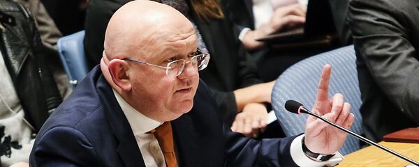 Vasilii Nebenzia - Sputnik Moldova