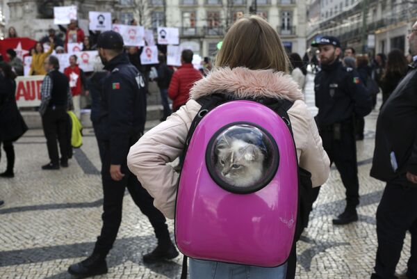 Девушка с котом в рюкзаке смотрит демонстрацию в поддержку бывшего президента Бразилии Луиса Инасиу Лулы да Силва в Лиссабоне - Sputnik Молдова