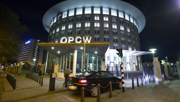 Le siège de l'OIAC à La Haye - Sputnik Moldova-România