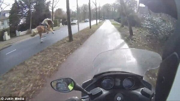 Мотоциклист догнал на шоссе лошадь - Sputnik Молдова