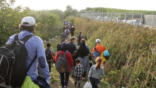 Ситуация на венгерско-сербской границе - Sputnik Moldova