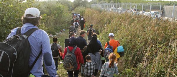 Ситуация на венгерско-сербской границе - Sputnik Moldova
