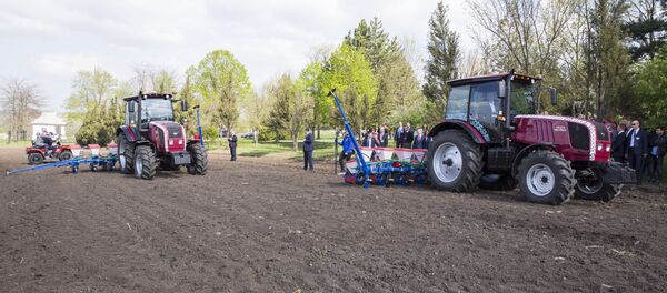 Игорь Додон и Александр Лукашенко посещают Институт фитосанитарных исследований в Порумбенах - Sputnik Молдова