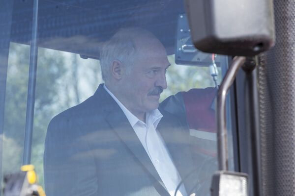 Александр Лукашенко в кабине трактора - Sputnik Молдова