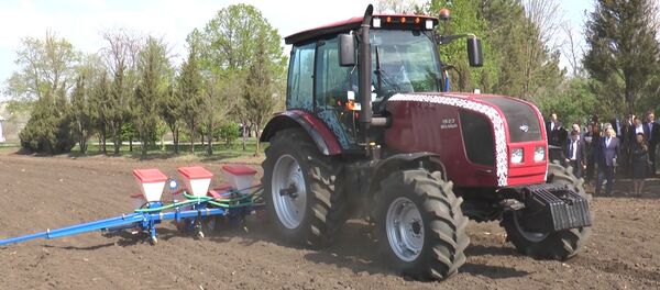 Лукашенко и Додон засеяли кукурузу под Криулянами - Sputnik Молдова