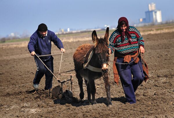 Румыния Румыния - Sputnik Молдова