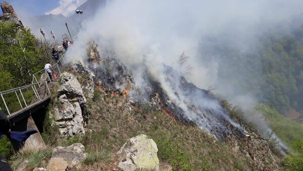 Incendiu de vegetație în comuna Arefu - Sputnik Moldova-România