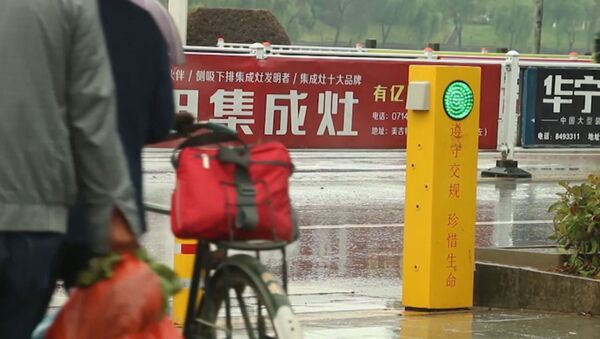 В Китае установили светофор, поливающий водой пешеходов-нарушителей - Sputnik Молдова