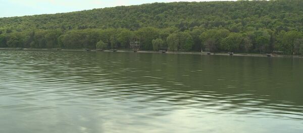 Зарыбление Днестра:  главную реку Молдовы выпустили четыре вида рыбы - Sputnik Moldova