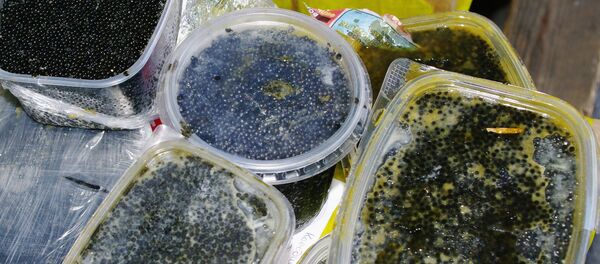Черная икра осетровых пород - Sputnik Moldova