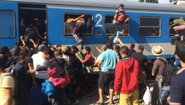 Беженцы через окна лезли в поезд, направляющийся в столицу Хорватии - Sputnik Молдова