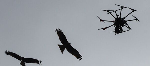 Празднование 150-летнего юбилея Единения теленгитов с Россией - Sputnik Молдова