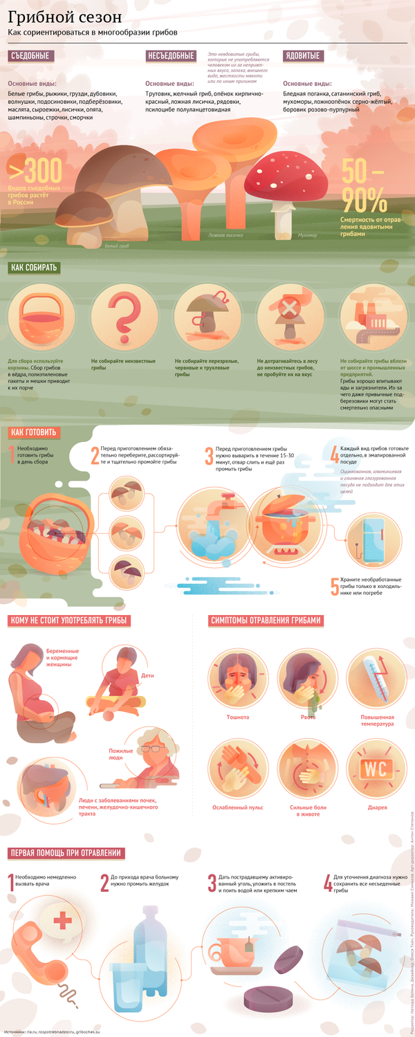 Грибной сезон - Sputnik Молдова