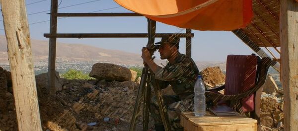 Сирийский военный. Архивное фото - Sputnik Молдова