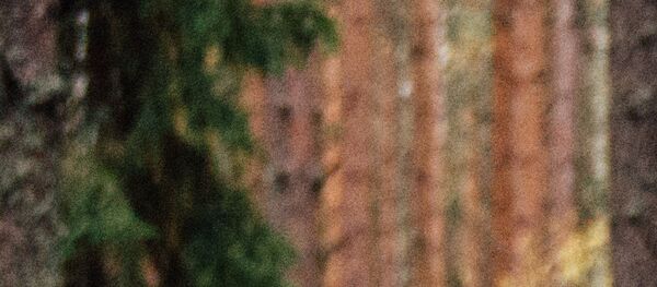 Монах и бес, Călugărul și demonul Монах и бес, Călugărul și demonul - Sputnik Moldova