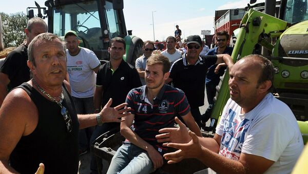 Масштабная забастовка французских фермеров в городе Кемпер - Sputnik Moldova-România