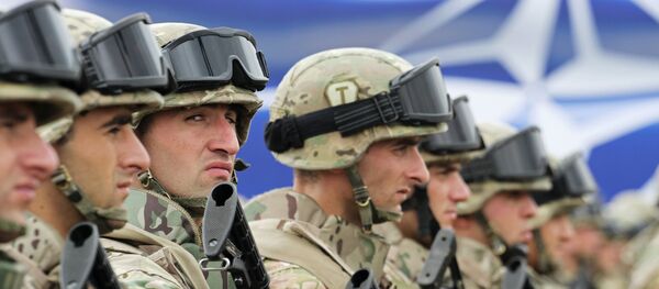 Открытие совместного учебно-тренировочного центра НАТО в Грузии - Sputnik Молдова