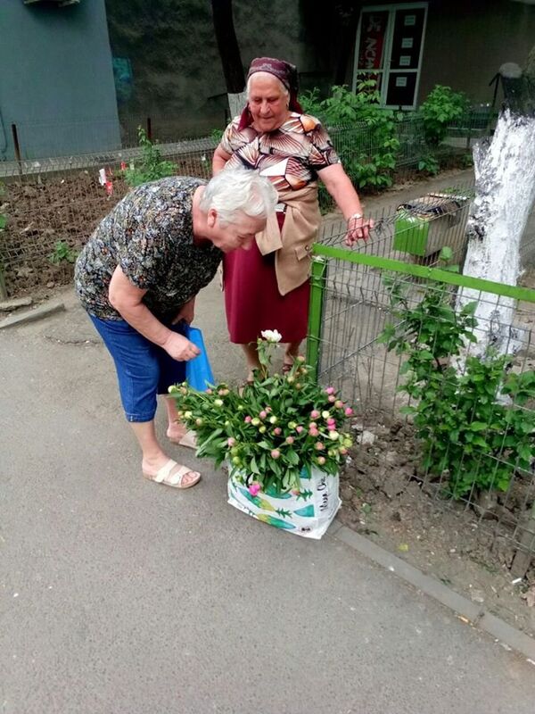 Comerț stradal, București - Sputnik Moldova-România