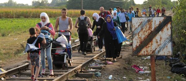 Беженцы на венгерско-сербской границе - Sputnik Moldova