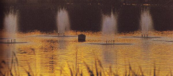 Фонтан в озере Скулянского парка, 80-е годы ХХ века - Sputnik Молдова